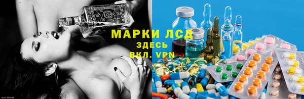 PSILOCYBIN Струнино